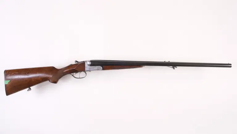 AYA in 12GA