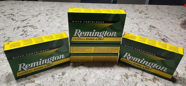 Remington 303 British 180gr sp round nose