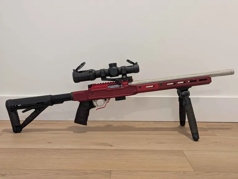 Custom 10/22